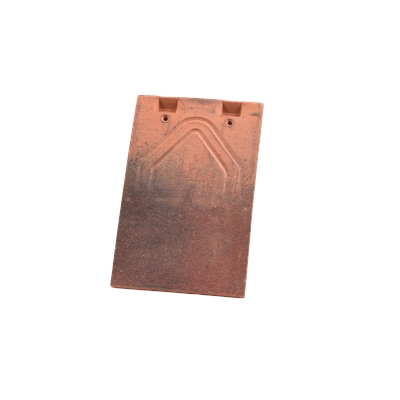 Tuile plate Phalempin (59 à 65/m²) 170 x 270mm 500 Vieilli 110