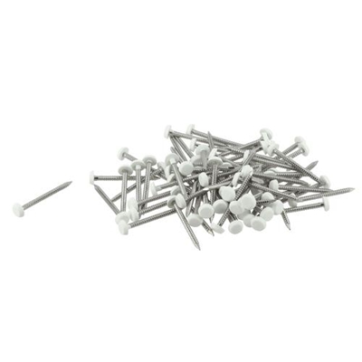 Pointes annelées inox D. 2.2 x 30mm têtes plast. Belriv CI30B Blanc boîte de 100