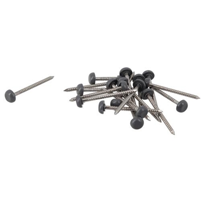 Pointes annelées inox D. 2.8 x 40mm têtes plast. Belriv CI40A Gris Anthracite boîte de 100