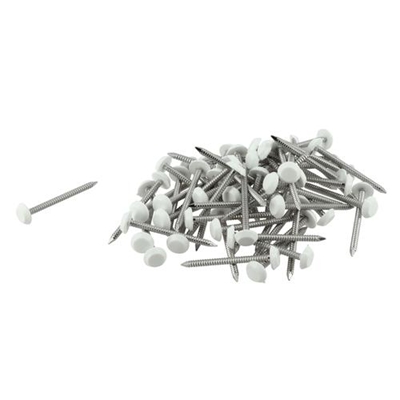 Pointes annelées inox D. 2.8 x 40mm têtes plast. Belriv CI40B Blanc boîte de 100