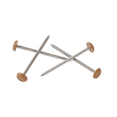 Pointes annelées inox D. 3.6 x 65mm têtes plast. Belriv CI65 Chêne Liège boîte de 100