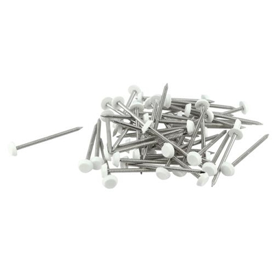 Pointes annelées inox D. 3.6 x 65mm têtes plast. Belriv CI65B Blanc boîte de 100