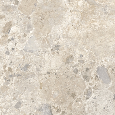 G.C. coloré masse int. 60 x 60 ép. 8.5mm rect. Caracter antibacterial M97K Mix Multi pqt 1.08m²