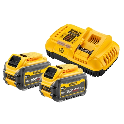 Pack 2 batteries Flexvolt Li-Ion 18-54V 3-9Ah + chargeur rapide