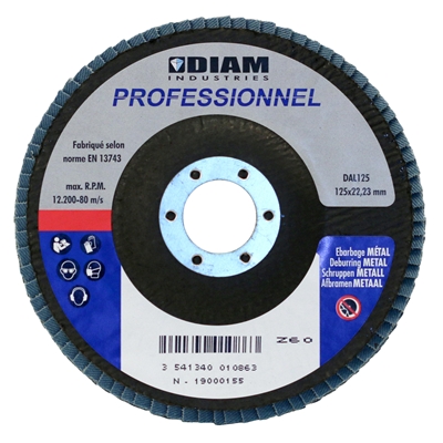 Disque abrasif à lamelles DAL D. 125mm al. 22.23mm grain 40 ponçage métal