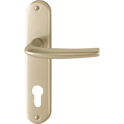 Poignee alu San Diego trou de cylindre I Ton Champagne R.3538068