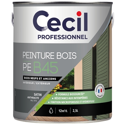 Peinture int. ext. acrylique bois PE B45 2.5L Anthracite Satin