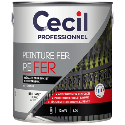 Peinture ext. polysiloxane tous métaux PE FER 2.5L Blanc Brillant