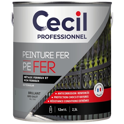 Peinture ext. polysiloxane tous métaux PE FER 2.5L Gris Galet Brillant