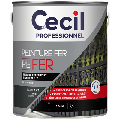 Peinture ext. polysiloxane tous métaux PE FER 2.5L Noir Brillant