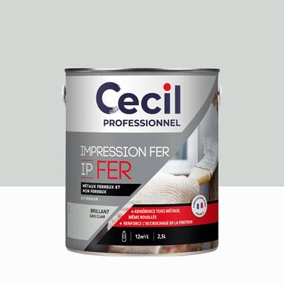 Peinture ext. primaire anticorrosion tous métaux IP FER 2.5L Gris Clair Brillant