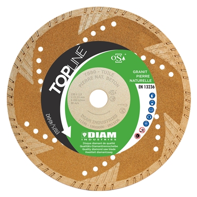 Disque diamant TS80 D. 125mm al. 22.23mm coupe à sec pierre naturel-tuile-béton-granit