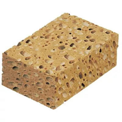 Eponge vegetale naturelle R.400204