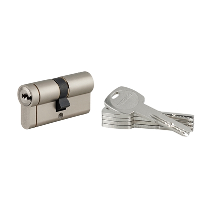 Cylindre de serrure haute sûreté 6G 30 x 30mm Transit1 nickelé 5 clés