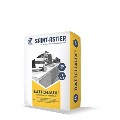 Liant Chaux Grise + Ciment Batichaux FL C5 25kg St Astier