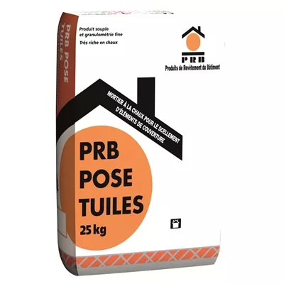 Mortier à la chaux p/ scellement élément de couverture PRB Pose Tuiles sac 25kg Blanc Cassé