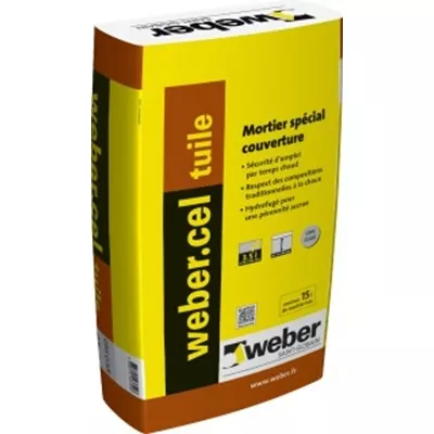 Mortier d'assemblage p/ tuile Weber.cel Tuile sac 25kg Blanc Cassé