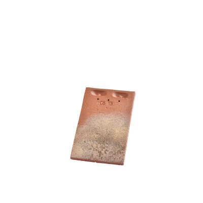 Tuile Plate Pressée Ste Foy (59 à 65/m²) 170 x 270mm 501 Chevreuse 025