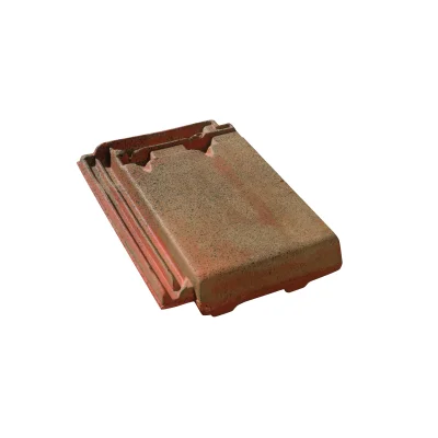 Tuile P.M Régence (20/m²) 226 x 328mm RG001 Terron IT