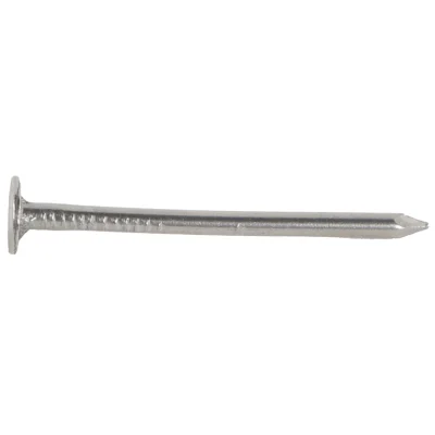 Pointes tête extra large lisse Galvanisé D. 2.2 x 35mm boîte de 5kg