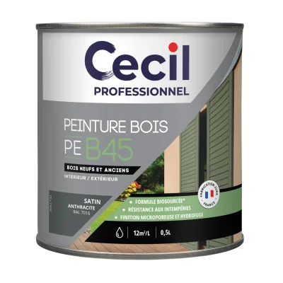 Peinture int. ext. acrylique bois PE B45 0.5L Anthracite Satin