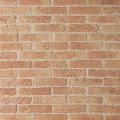 Parement brique B2 ep. 15mm 22 x 5cm pqt de 36 pcs=0.5m² Ton Rouge