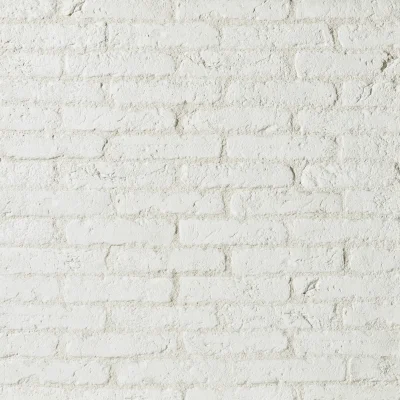 Parement brique White ép. 15mm 22 x 5cm pqt de 36 pcs=0.5m² Blanc