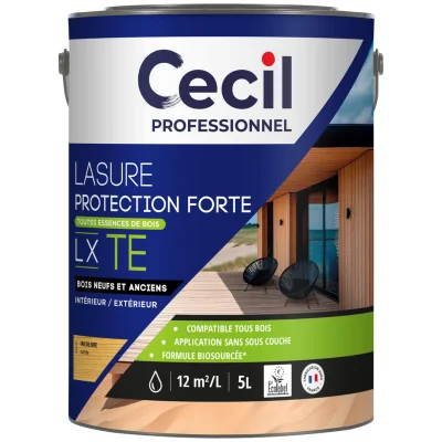 Lasure bois int. ext. Protection Forte LX TE 5L Incolore