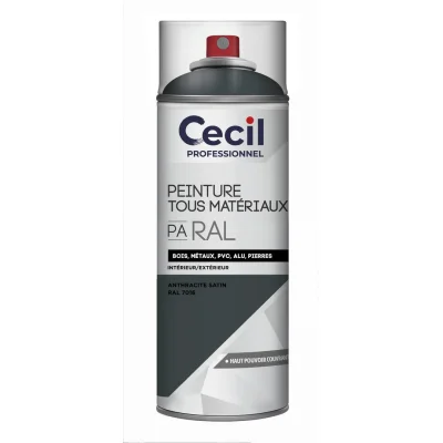 Peinture int. ext. tous matériaux PA RAL aérosol 400ml Anthracite Satin