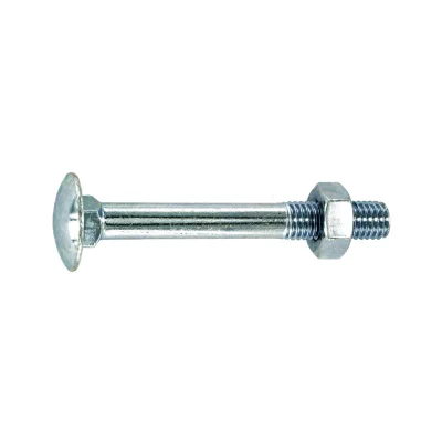 Boulons bois TRCC acier zingué D. 10 x 120mm boîte de 15