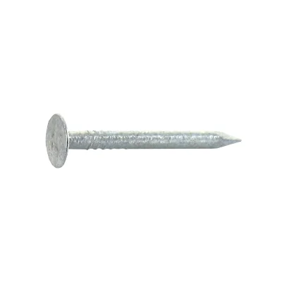 Pointes tête plate large acier Galvanisé D. 2.4 x 27mm boîte 280gr