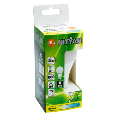 Ampoule à Leds B22 12W 1050 lumens 3K Nityam NITYAM