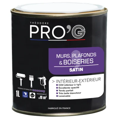PRO'G MURS PLAFONDS ET BOIS SATIN BLC/BTP 1L