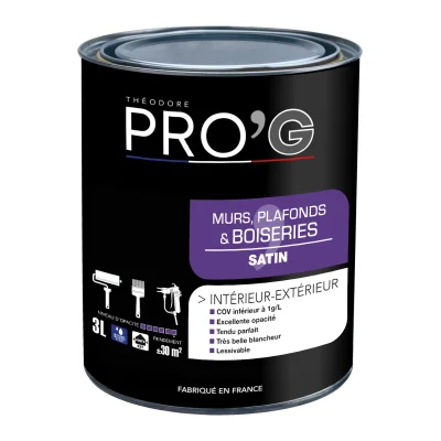 PRO'G MURS PLAFONDS ET BOIS SATIN BLC/BTP 3L